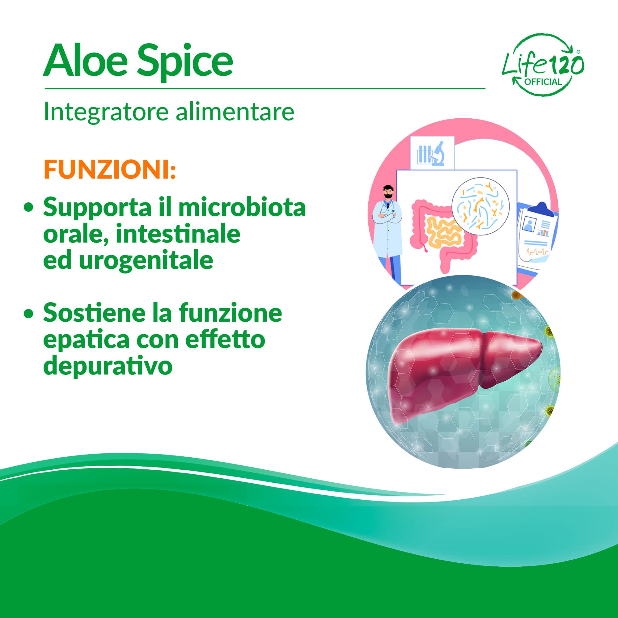 Aloe Spice — vista 3