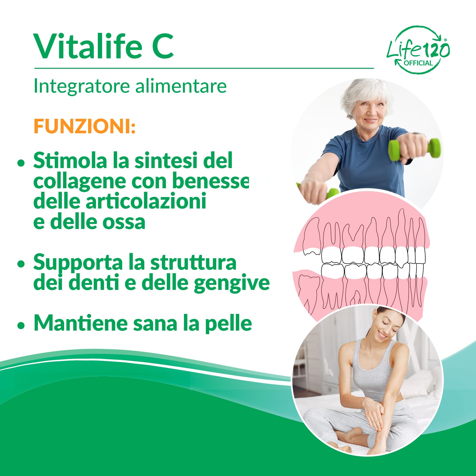 Vitalife C — vista 2