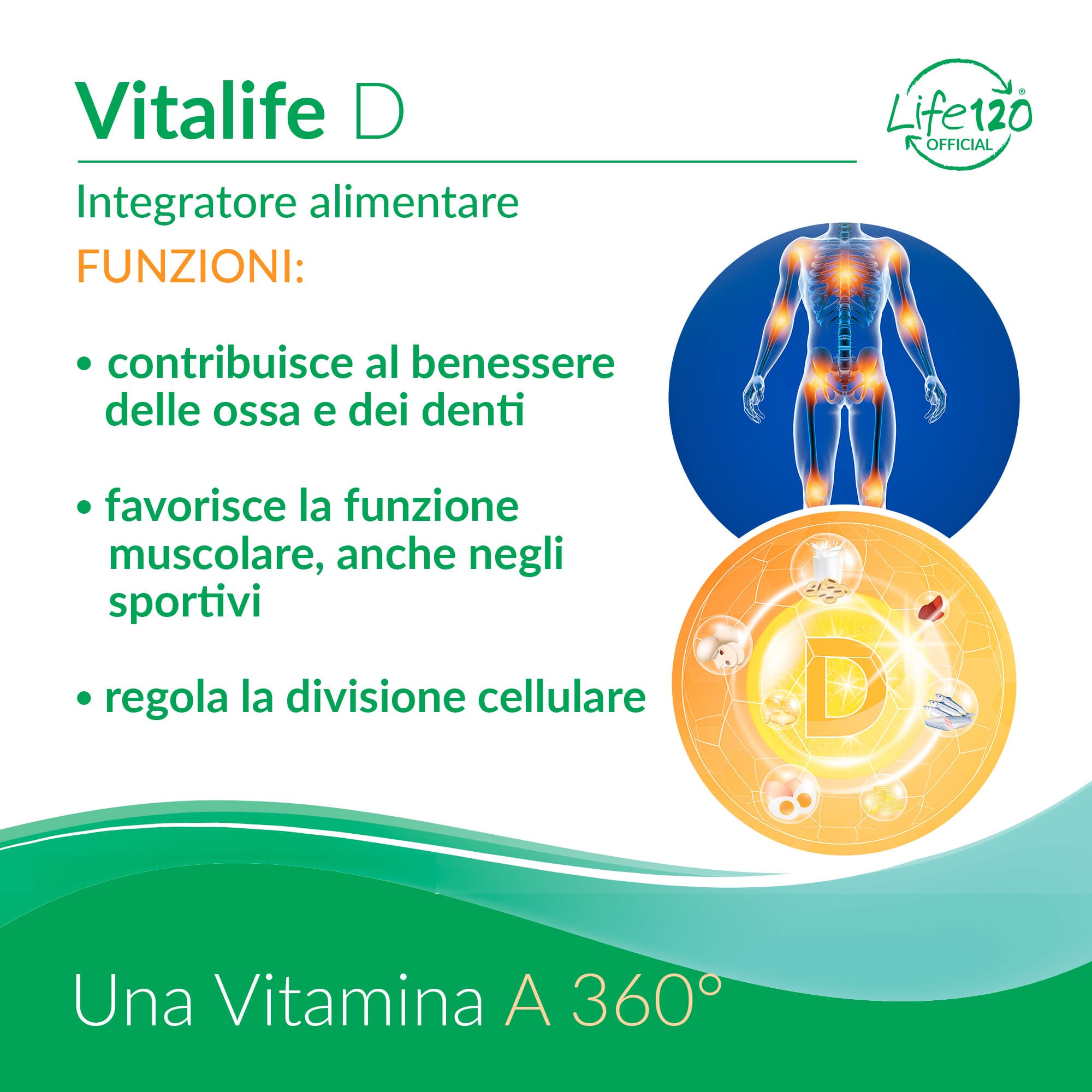 Vitalife D — vista 3